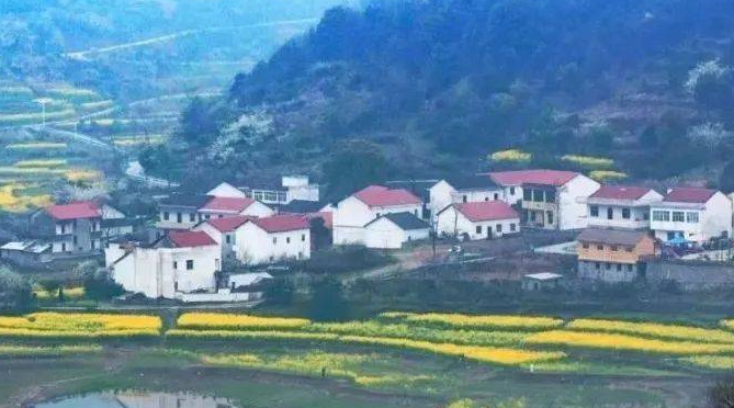 羅山縣周黨鎮(zhèn)人民政府