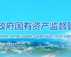 十堰市人民政府國(guó)有資產(chǎn)監(jiān)