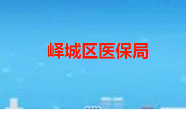 棗莊市嶧城區(qū)醫(yī)療保障局