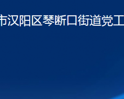 武漢市漢陽區(qū)琴斷口街道黨工委、辦事處政務(wù)服務(wù)網(wǎng)