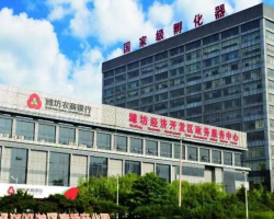 濰坊經濟開發(fā)區(qū)政務服務中