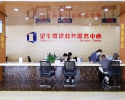 望牛墩鎮(zhèn)政務服務中心