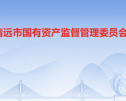 清遠(yuǎn)市人民政府國有資產(chǎn)監(jiān)