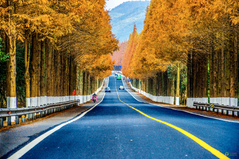 寧?？h人民政府