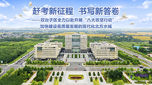 盤錦市雙臺(tái)子區(qū)人民政府