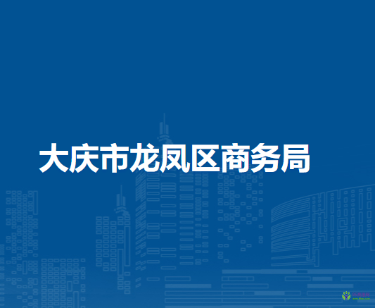 大慶市龍鳳區(qū)商務局