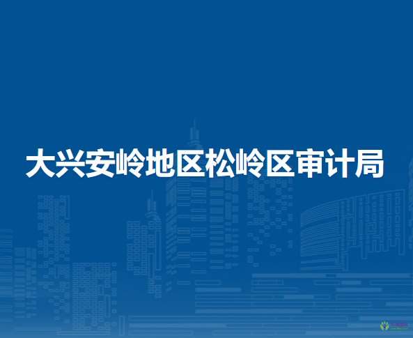 大興安嶺地區(qū)松嶺區(qū)審計局