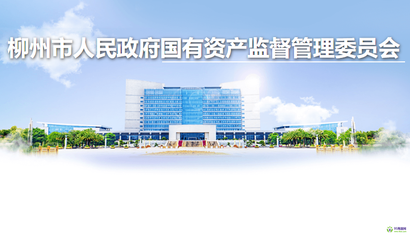 柳州市人民政府國有資產監(jiān)督管理委員會