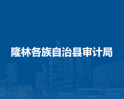 隆林各族自治縣審計局