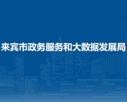 來(lái)賓市政務(wù)服務(wù)和大數(shù)據(jù)發(fā)
