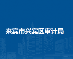 來(lái)賓市興賓區(qū)審計(jì)局