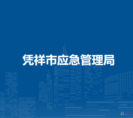 憑祥市應急管理局