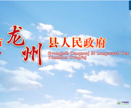 龍州縣人民政府