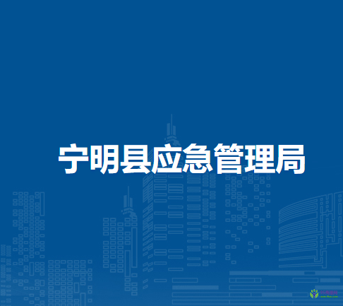 寧明縣應(yīng)急管理局