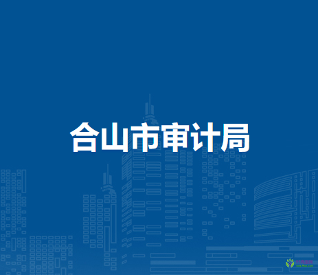 合山市審計(jì)局