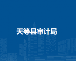 天等縣審計(jì)局