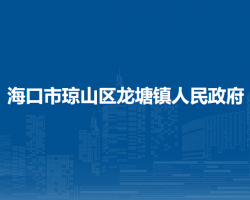 ?？谑协偵絽^(qū)龍?zhí)伶?zhèn)人民政府