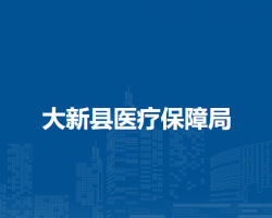 大新縣醫(yī)療保障局