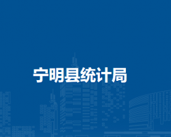 寧明縣統(tǒng)計(jì)局