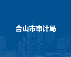 合山市審計(jì)局