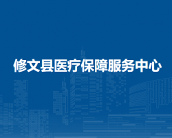 修文縣醫(yī)療保障服務中心