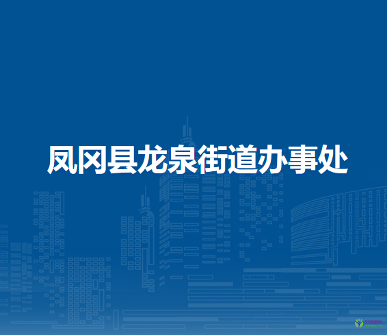 鳳岡縣龍泉街道辦事處