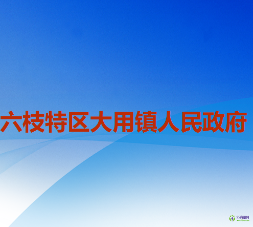 六盤水市六枝特區(qū)大用鎮(zhèn)人民政府