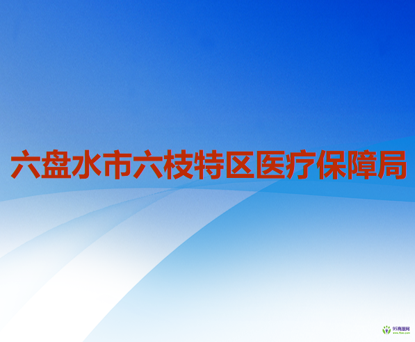 六盤(pán)水市六枝特區(qū)醫(yī)療保障局
