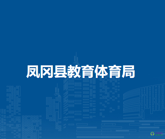 鳳岡縣教育體育局