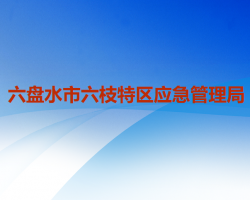 六盤(pán)水市六枝特區(qū)應(yīng)急管理局