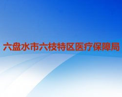 六盤水市六枝特區(qū)醫(yī)療保障局
