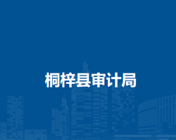 桐梓縣審計(jì)局