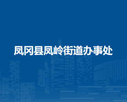 鳳岡縣鳳嶺街道辦事處