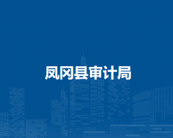 鳳岡縣審計(jì)局