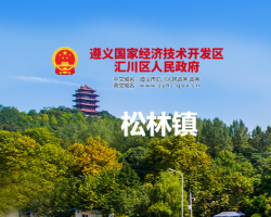 遵義市匯川區(qū)松林鎮(zhèn)人民政府