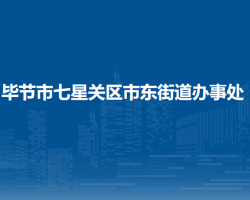 畢節(jié)市七星關區(qū)市東街道辦事處