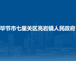 畢節(jié)市七星關(guān)區(qū)亮巖鎮(zhèn)人民政府