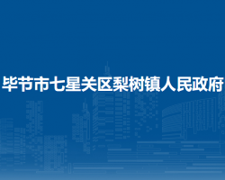 畢節(jié)市七星關(guān)區(qū)梨樹鎮(zhèn)人民政府