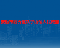 安順市西秀區(qū)轎子山鎮(zhèn)人民政府