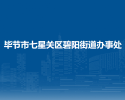 畢節(jié)市七星關區(qū)碧陽街道辦事處