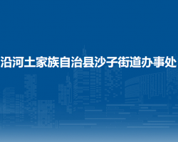 沿河土家族自治縣沙子街道辦事處