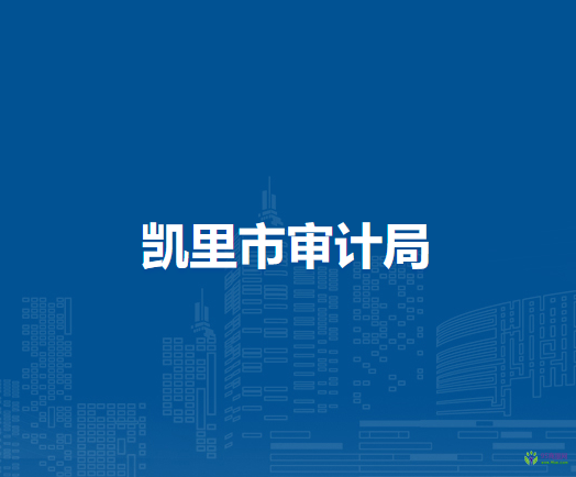 凱里市審計(jì)局