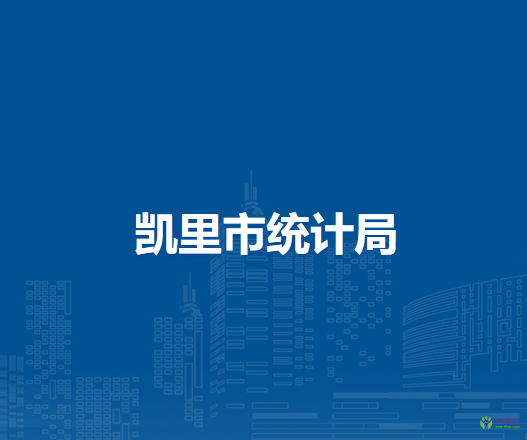 凱里市統(tǒng)計(jì)局