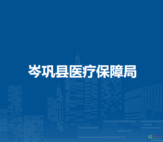 岑鞏縣醫(yī)療保障局