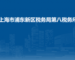 上海市浦東新區(qū)稅務(wù)局第八稅務(wù)所