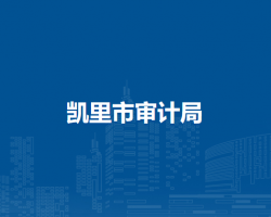 凱里市審計(jì)局