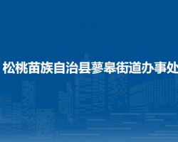 松桃苗族自治縣蓼皋街道辦事處