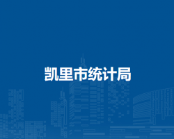 凱里市統(tǒng)計局