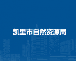 凱里市自然資源局