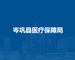 岑鞏縣醫(yī)療保障局